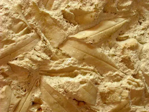 pietre pomice